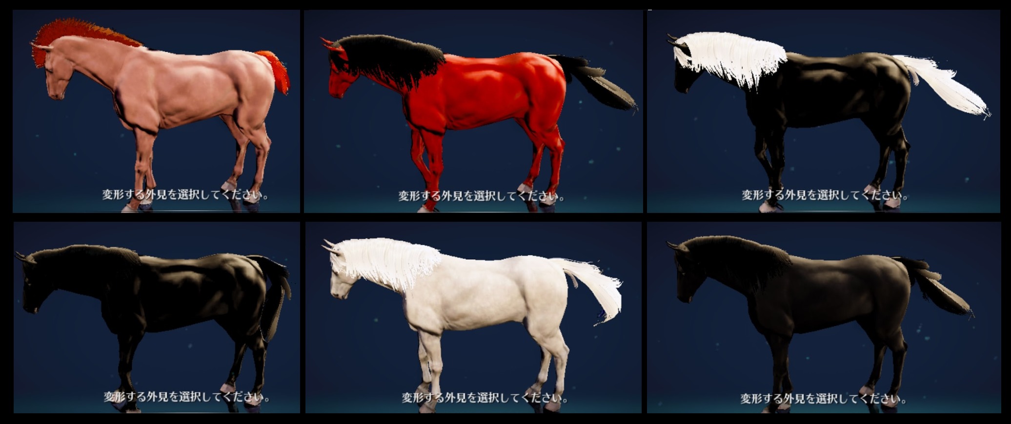 黒い砂漠モバイル 馬 5世代 外見
